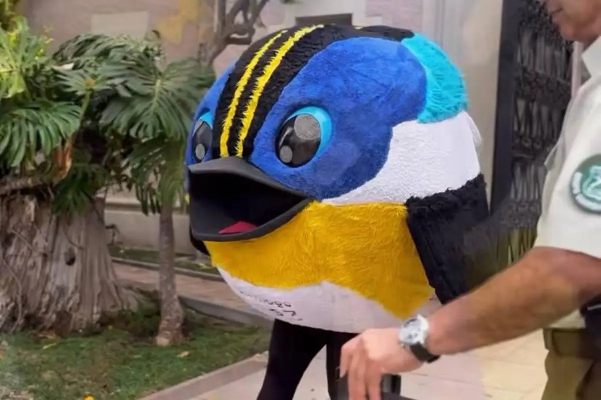 Fiu, redes sociales / captura