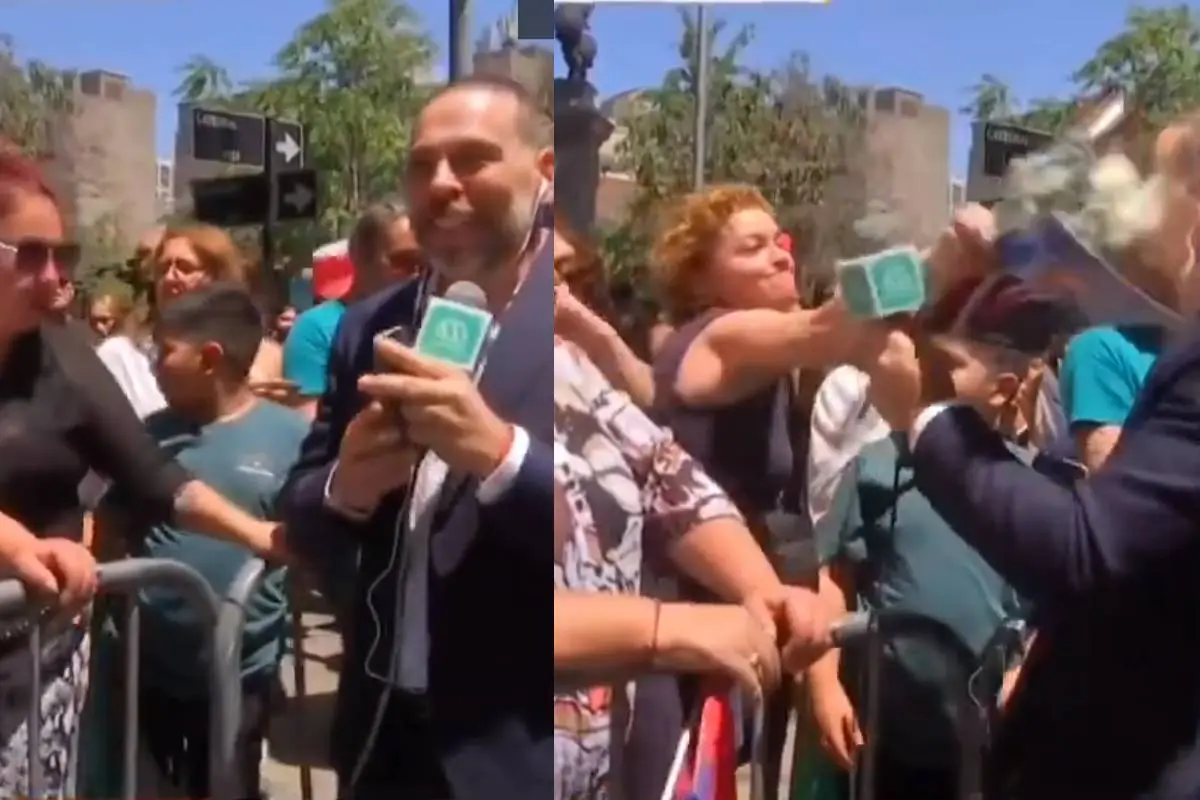 José Antonio Neme, Captura