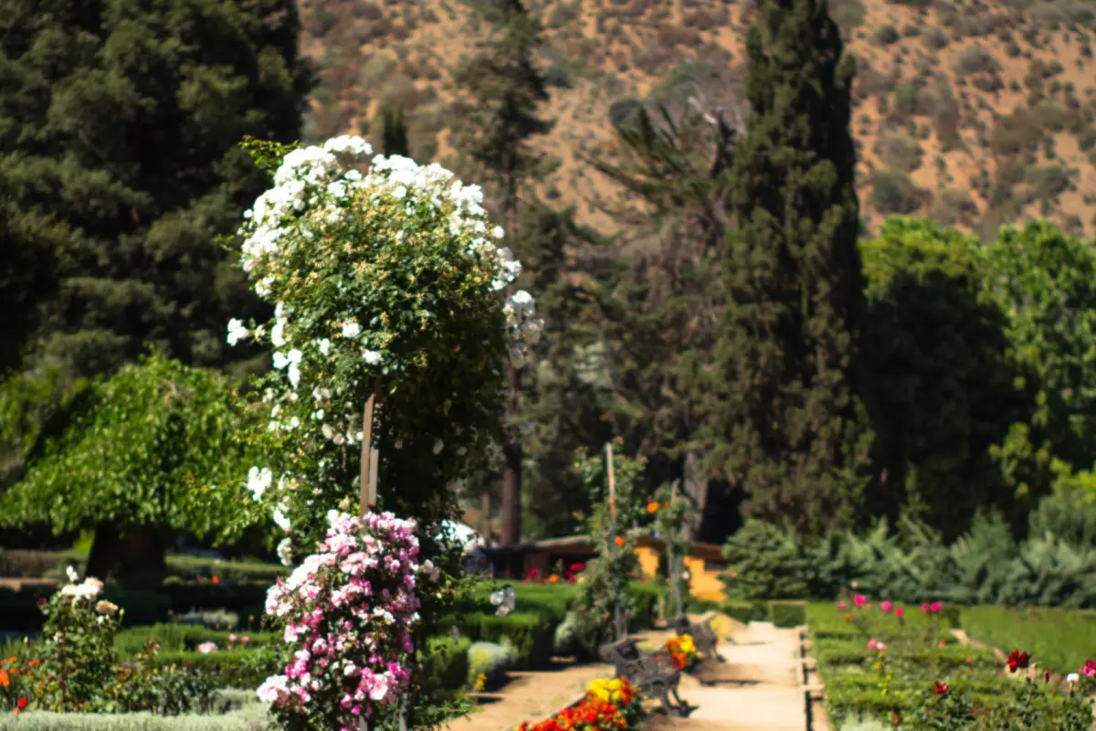 Imagen del Jardín Botánico en octubre pasado, Jardín Botánico Viña del Mar