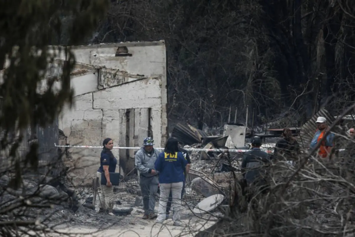 Incendio Jardín Botánico Viña del Mar, Agencia Uno