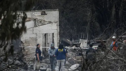 Incendio Jardín Botánico Viña del Mar, Agencia Uno