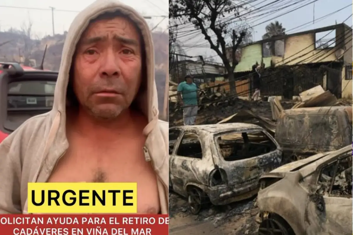 Incendios en Viña del Mar