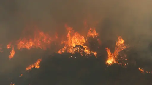 Incendios, Agencia Uno