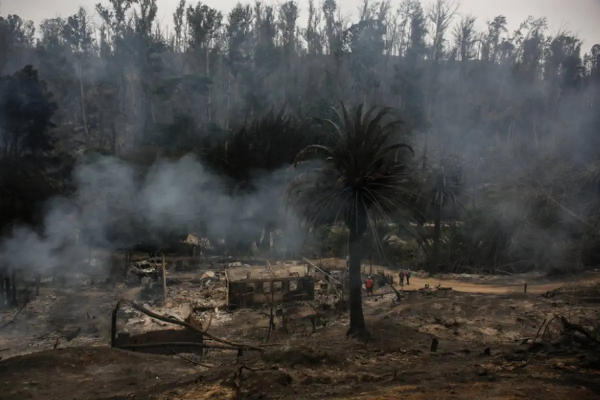 Incendio Jardín Botánico, Agencia Uno