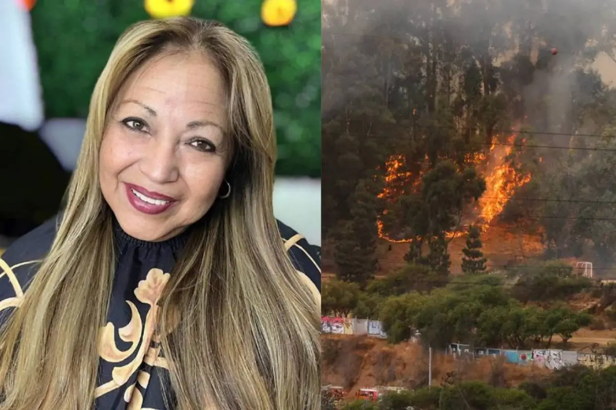 Jardín Botánico de Viña del Mar, Redes sociales