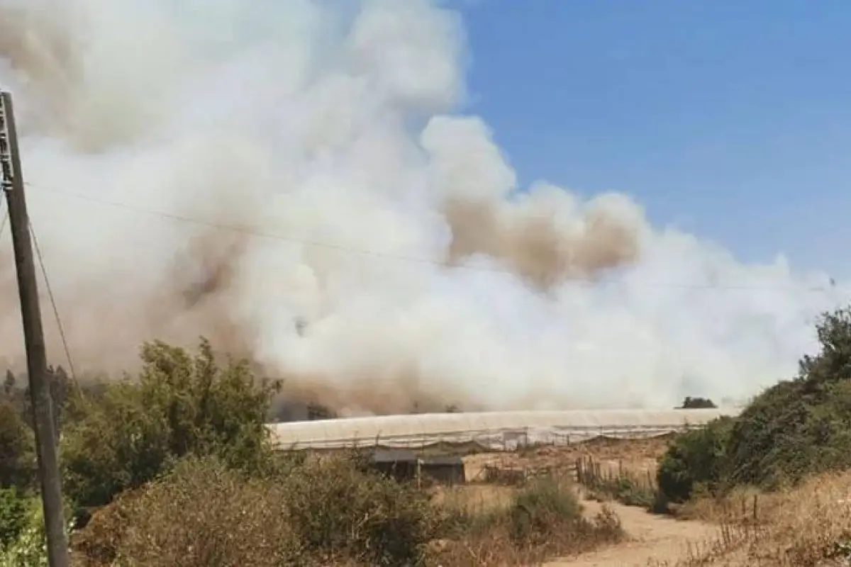 Incendio forestal en Papudo, Redes sociales