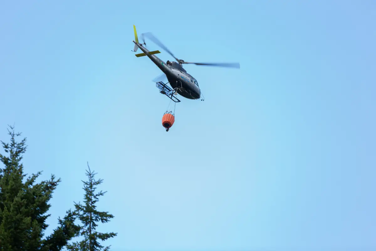 Referencial, Agencia Uno