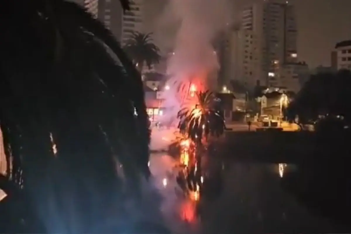 Incendio en el centro de Viña del Mar, Redes sociales