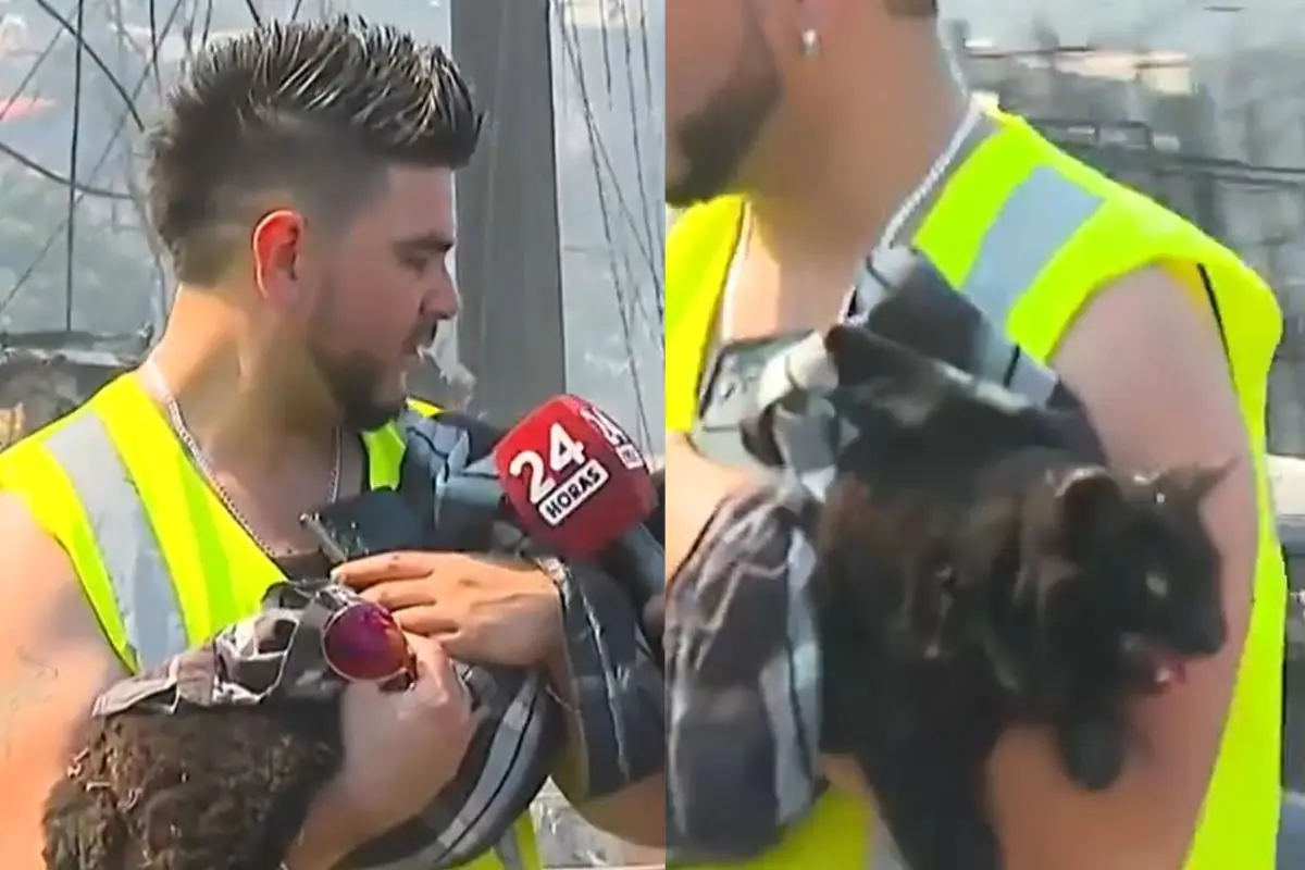 Joven se convirtió en héroe rescatando a un gato, Captura