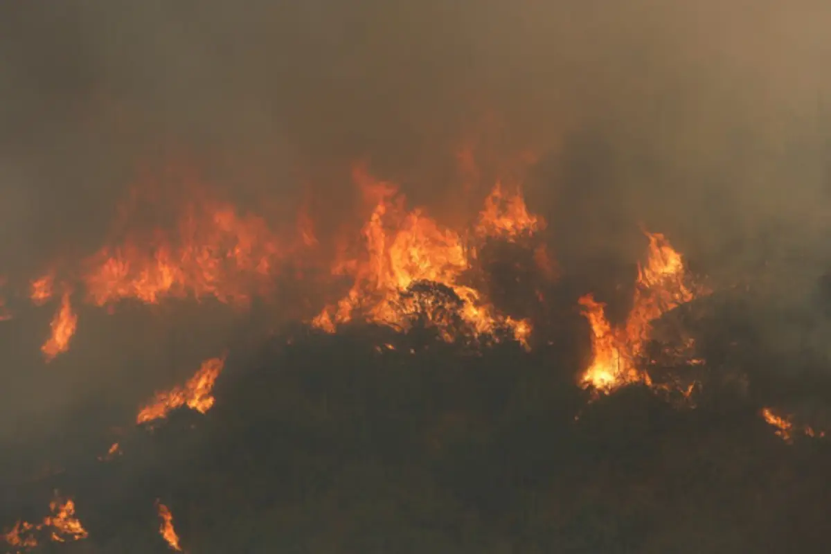 Incendios en Quinta Región, Agencia Uno