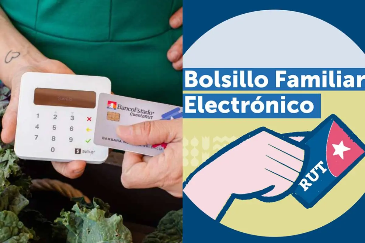 Bolsillo familia Electronico, Redes Sociales