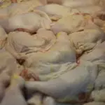 Pollo, Agencia Uno