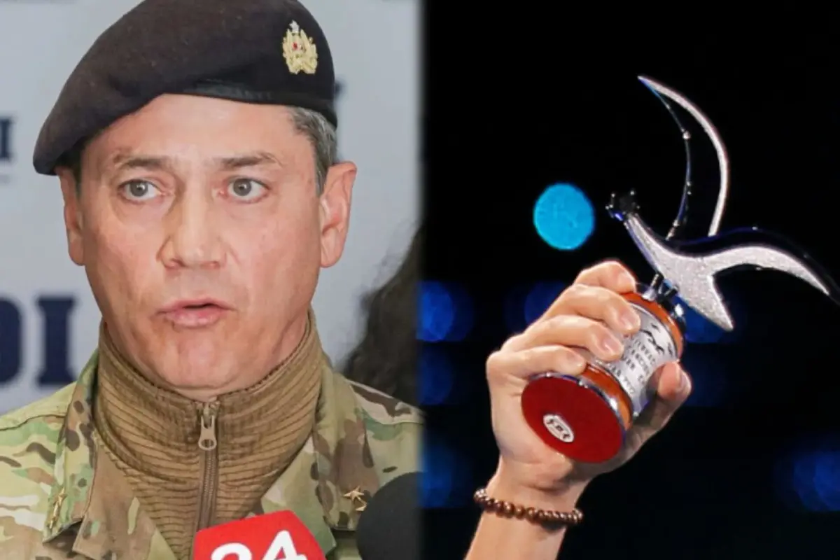 Festival de Viña, Redes Sociales