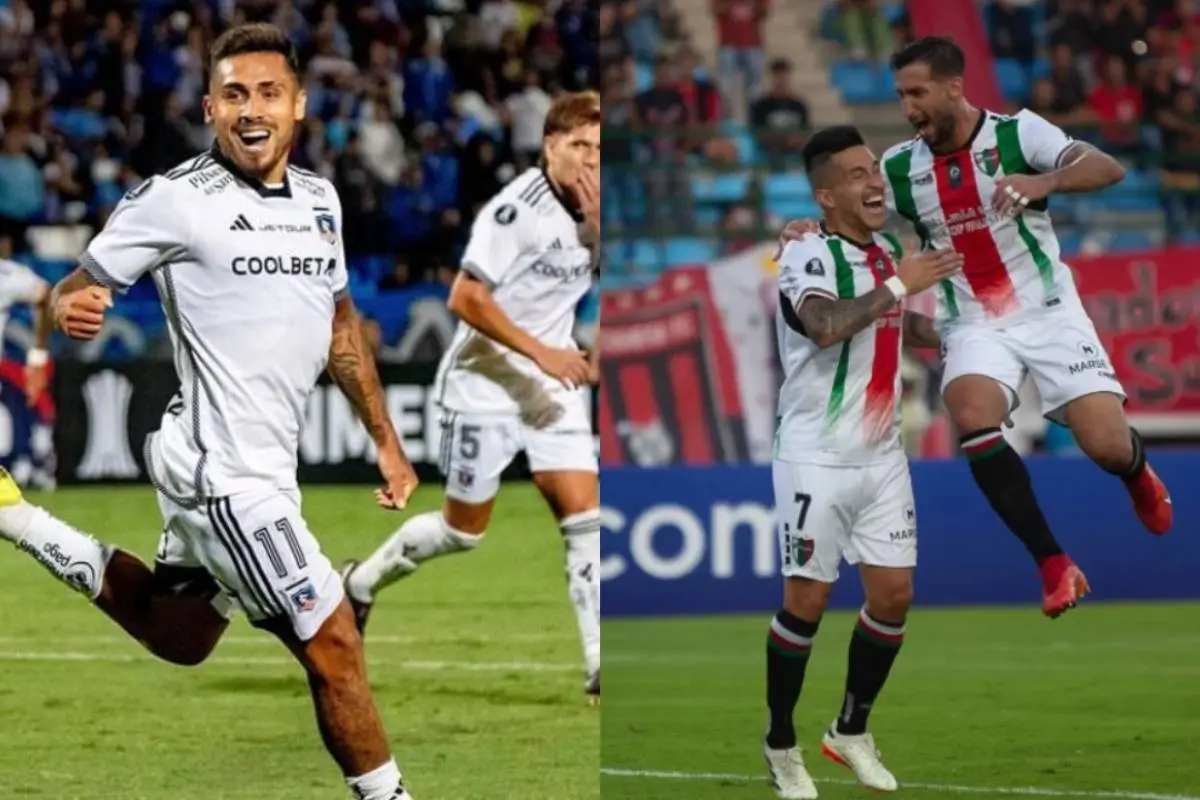 Colo Colo y Palestino en la Copa Libertadores, Redes sociales | Referencial