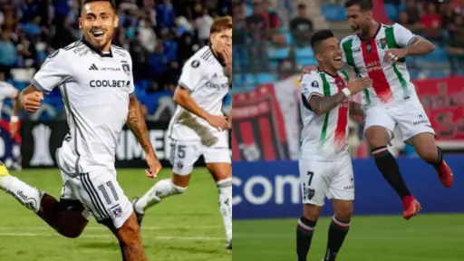 Colo Colo y Palestino en la Copa Libertadores, Redes sociales | Referencial