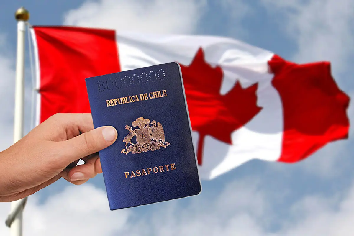 Turista canadiense , Redes sociales | Referencial
