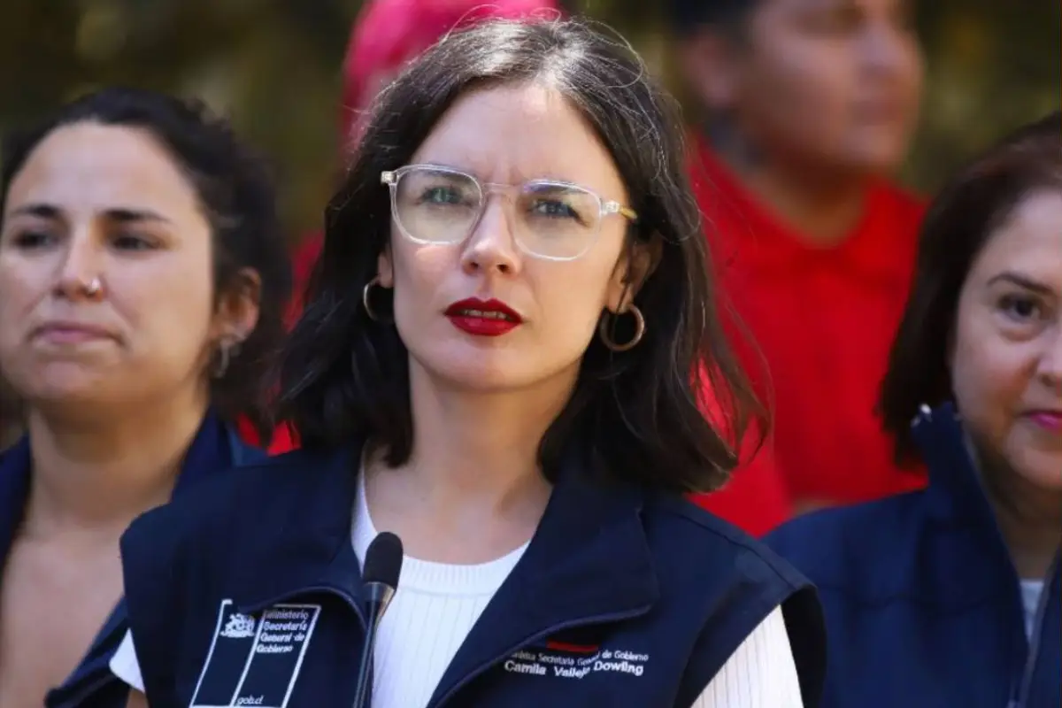 Camila Vallejo, Redes Sociales