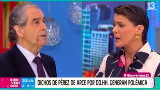 Hermógenes Pérez de Arce y la dura pelea con Tonka, Captura Canal 13