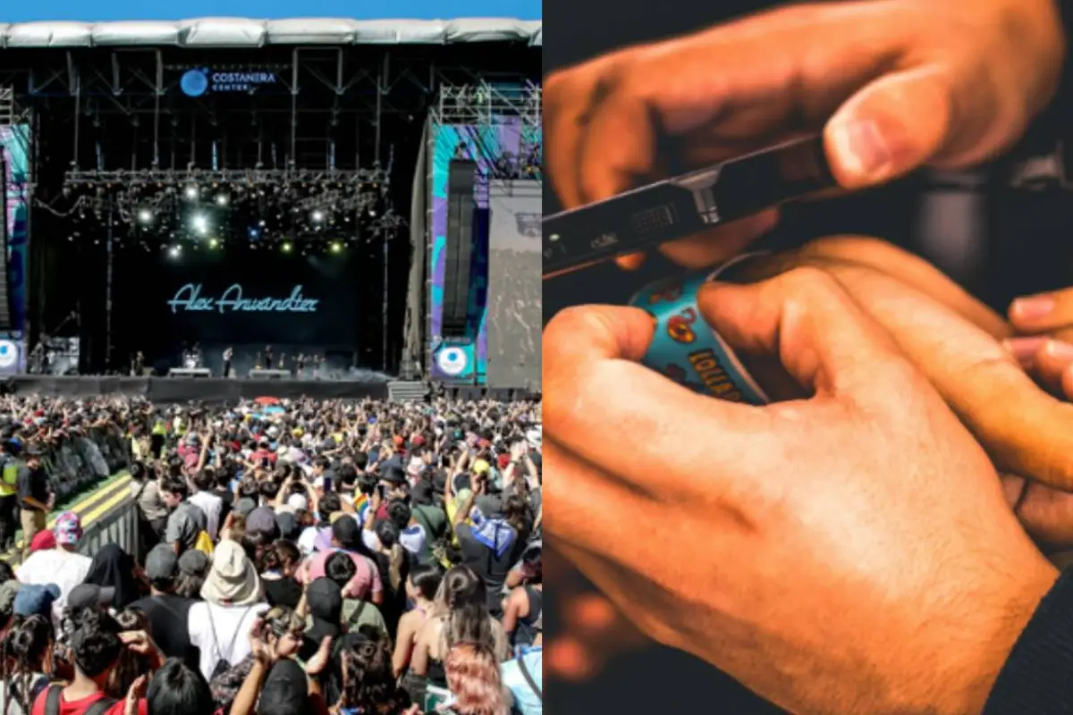 Lollapalooza , Redes Sociales