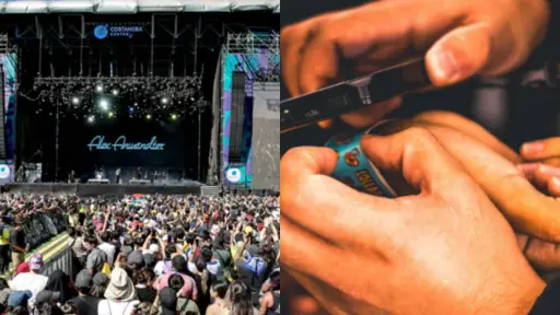 Lollapalooza , Redes Sociales
