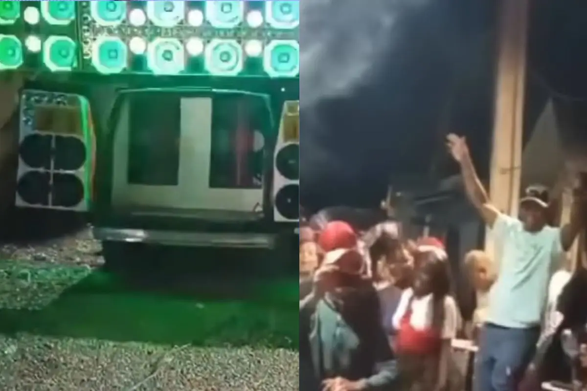 Al menos lo pasaron bien..., Captura