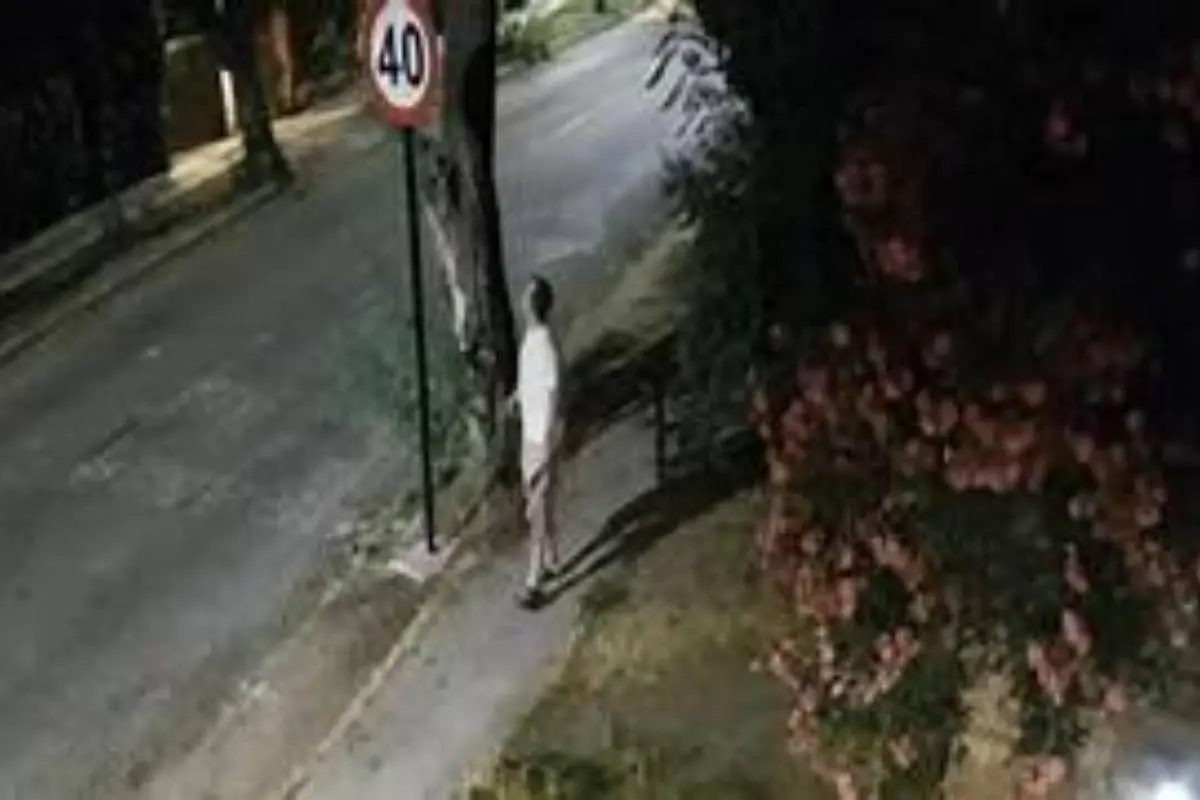 Pistolero de La Reina, redes sociales