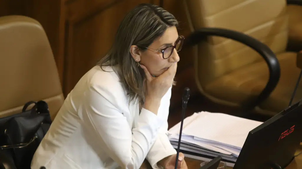 Erika Olivera en la Cámara de Diputados - AGENCIA UNO