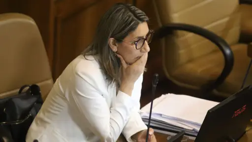 Erika Olivera en la Cámara de Diputados, AGENCIA UNO