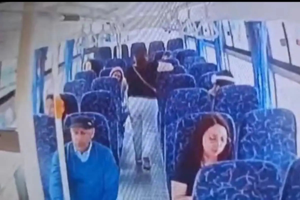 Mujer defeca en bus de Valdivia, redes sociales