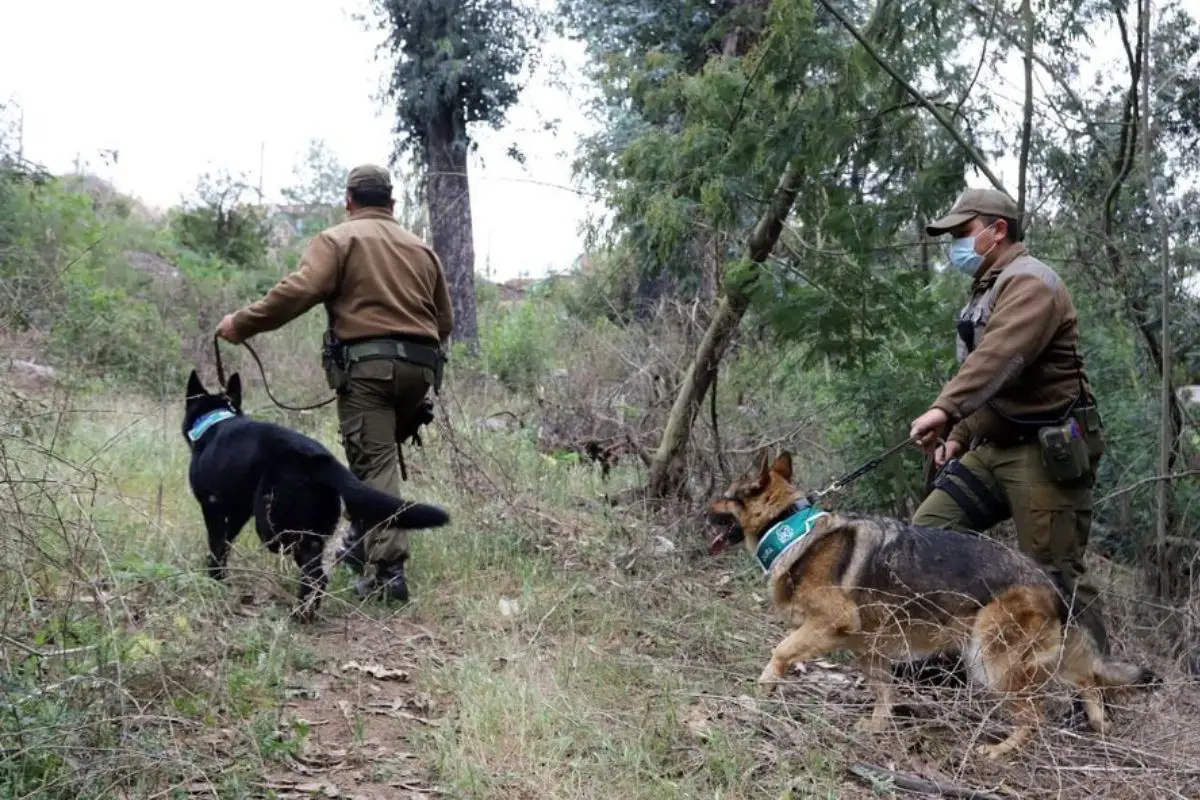 La incansable búsqueda de Carabineros, Agencia Uno