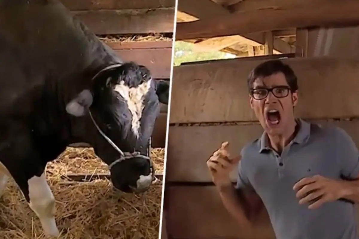 Ignacio Garmendia en Amanda, Captura