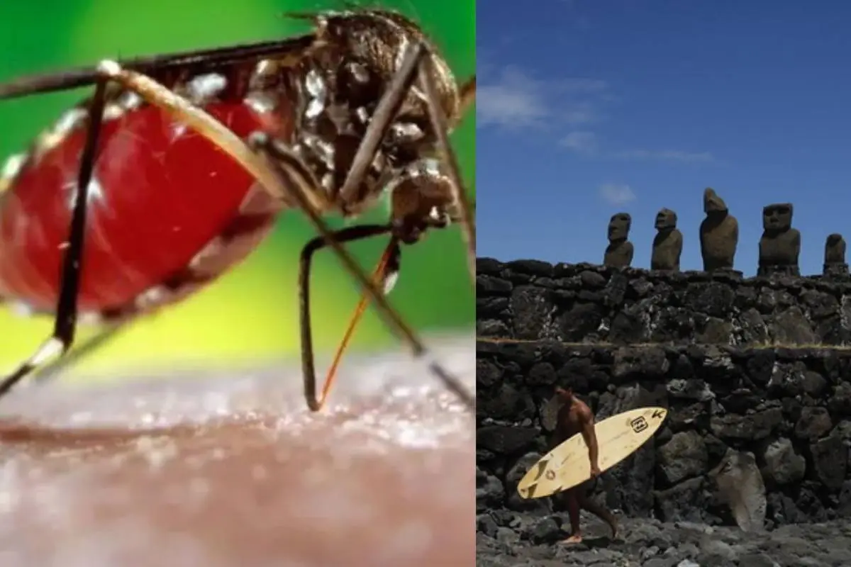 Dengue, redes sociales