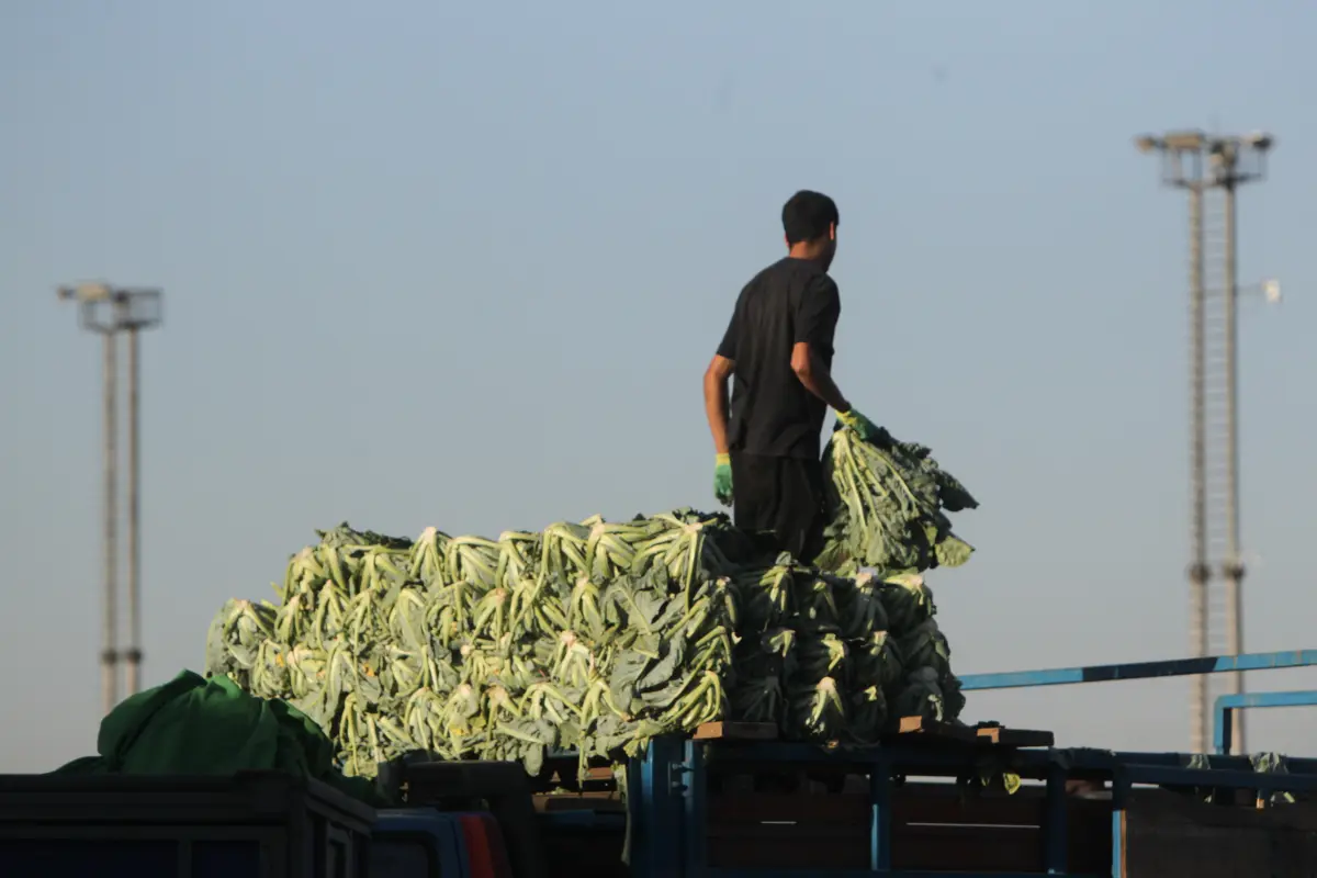 Lo Valledor , Agencia Uno