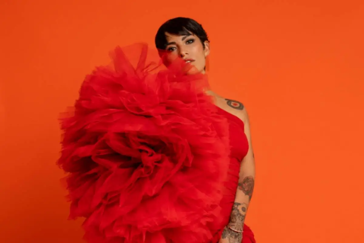 Ana Tijoux, Redes Sociales