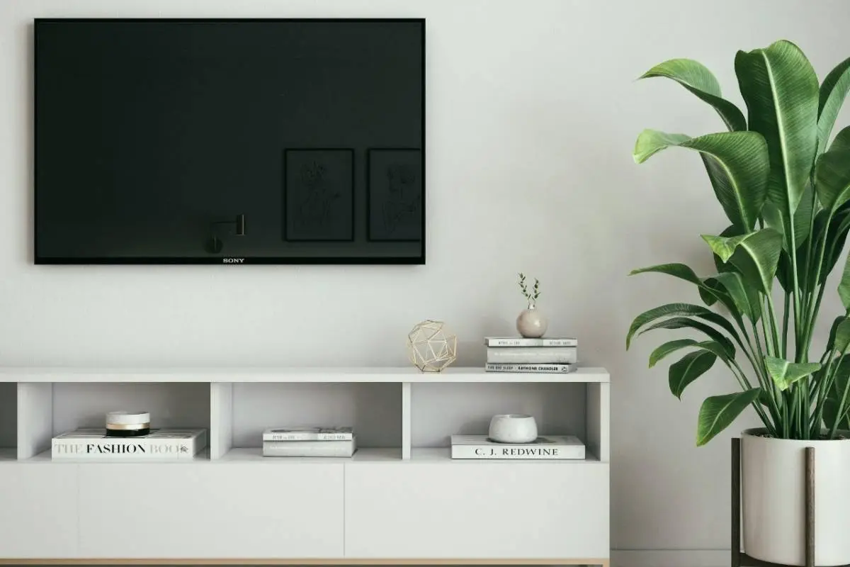 Telerrealidad, cedida