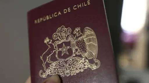 Pasaporte chileno, redes sociales