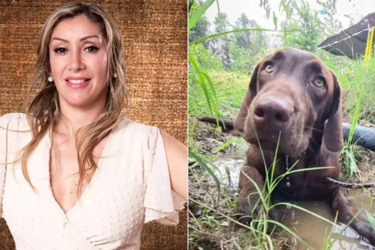 Angélica Sepúlveda y Canelo, redes sociales 