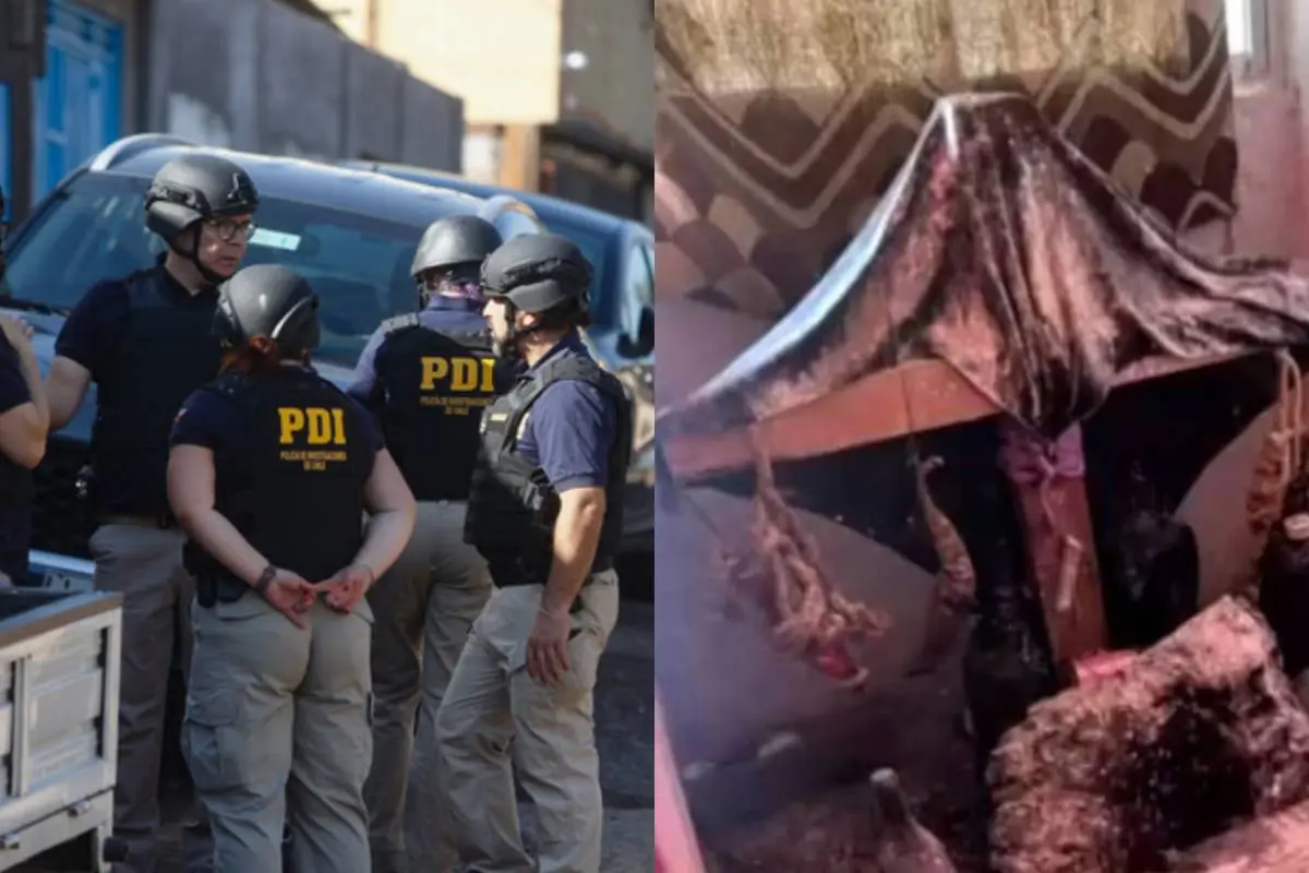 Operativo Los Trinitarios , Redes sociales | Referencial