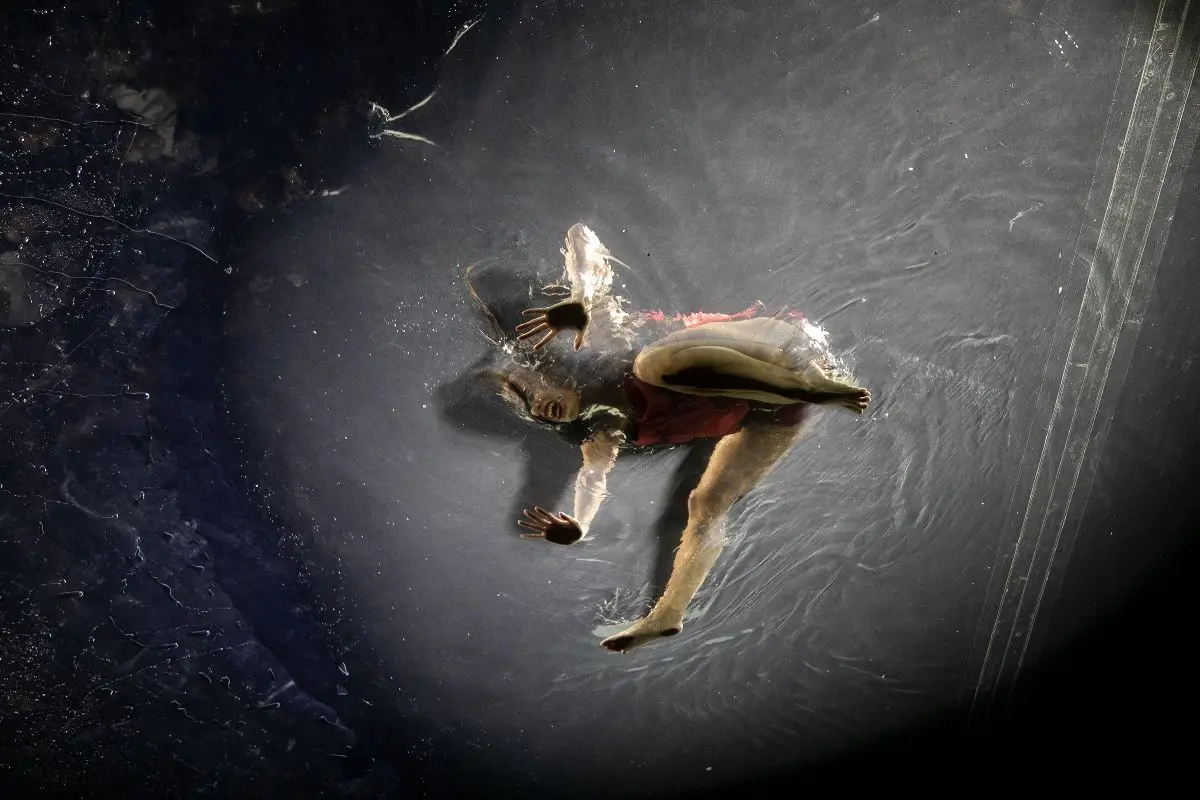 Fuerza Bruta, Cedida