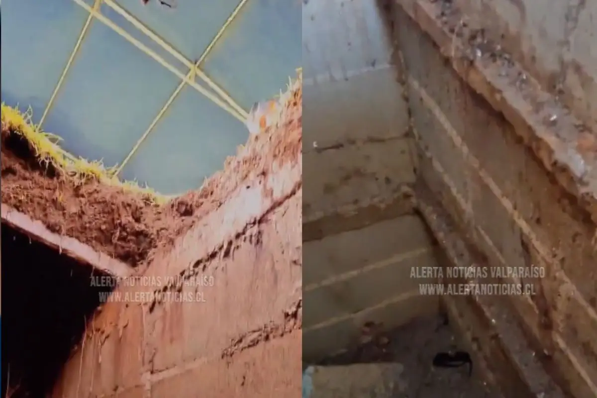 Hombre cayó a una tumba en Viña del Mar, Captura