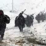 Tragedia Antuco , Redes sociales