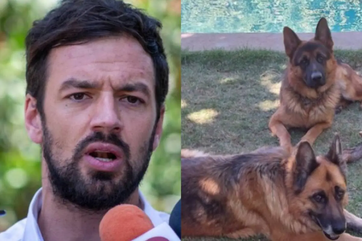 Tomás Vodanovic junto a sus perros ,Redes sociales