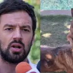 Tomás Vodanovic junto a sus perros, Redes sociales