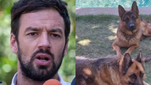 Tomás Vodanovic junto a sus perros, Redes sociales