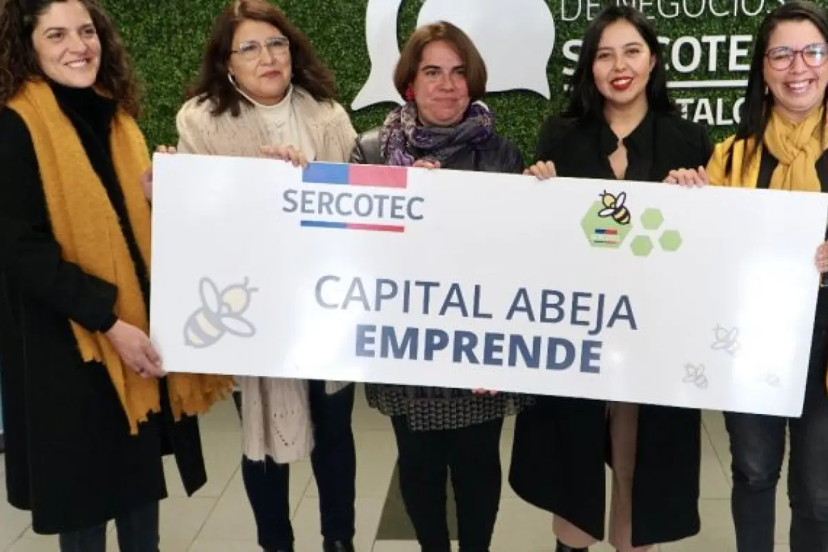 Capital Abeja Emprende , Cedida