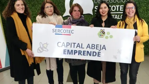 Capital Abeja Emprende , Cedida