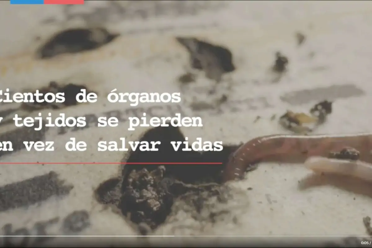 Campaña de Minsal, Captura