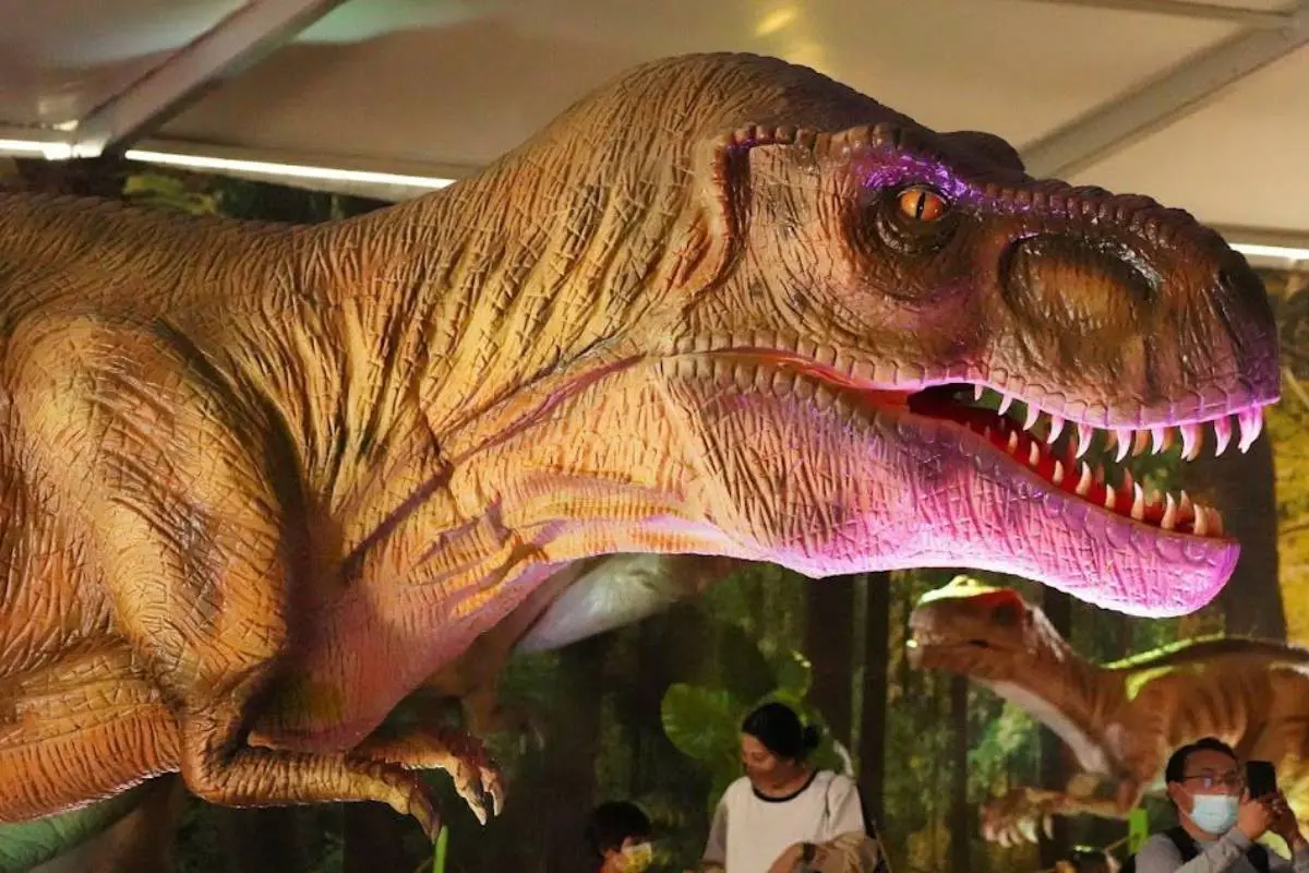 Expo dinosaurios, Cedida