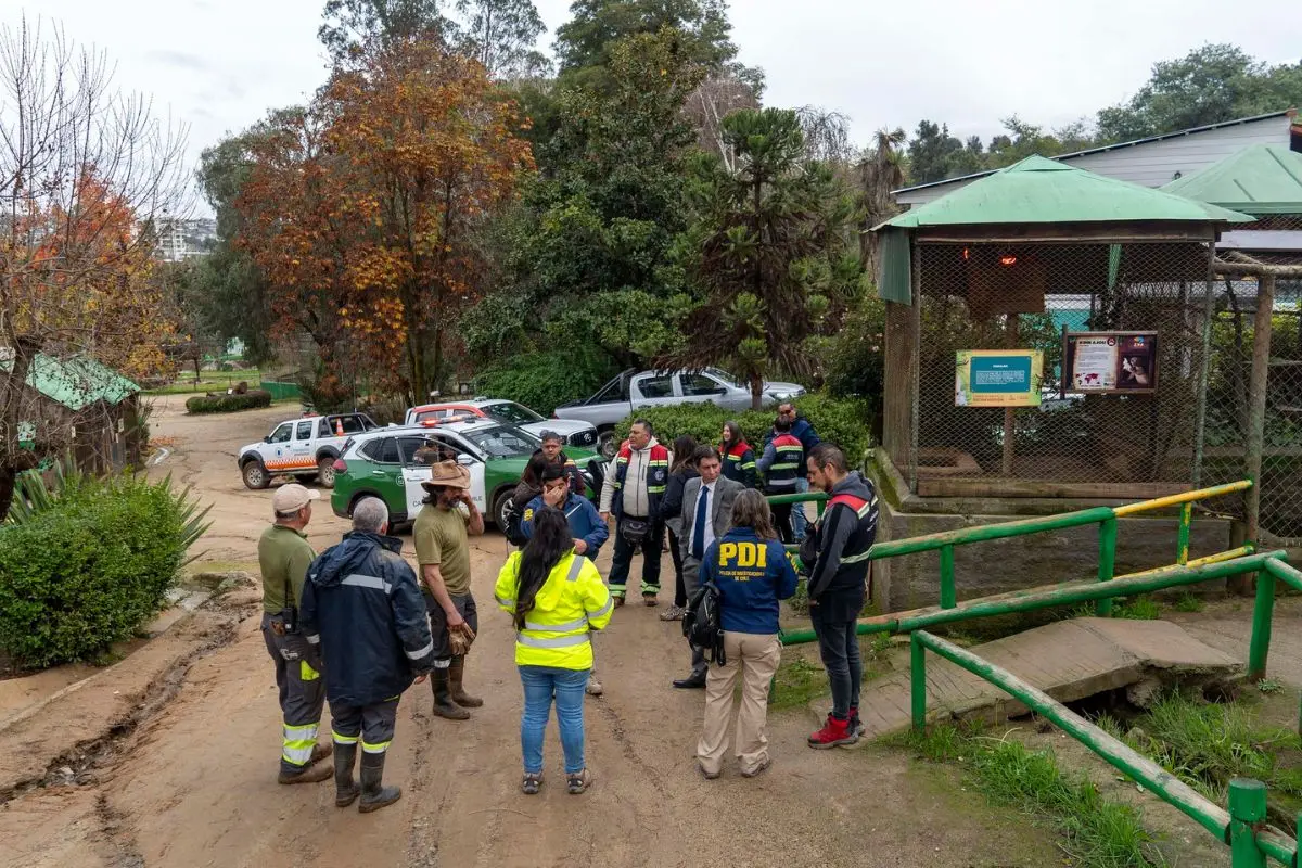 Una trágica situación se vivió en el zoológico de Quilpué, Twitter