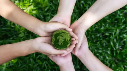 Este 5 de junio se conmemora el Día Internacional del Medio Ambiente, Cedida